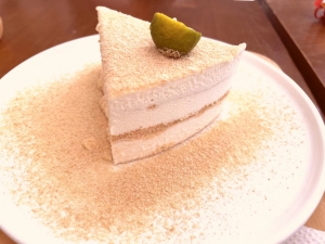 藍(lán)絲表面匹克球拍